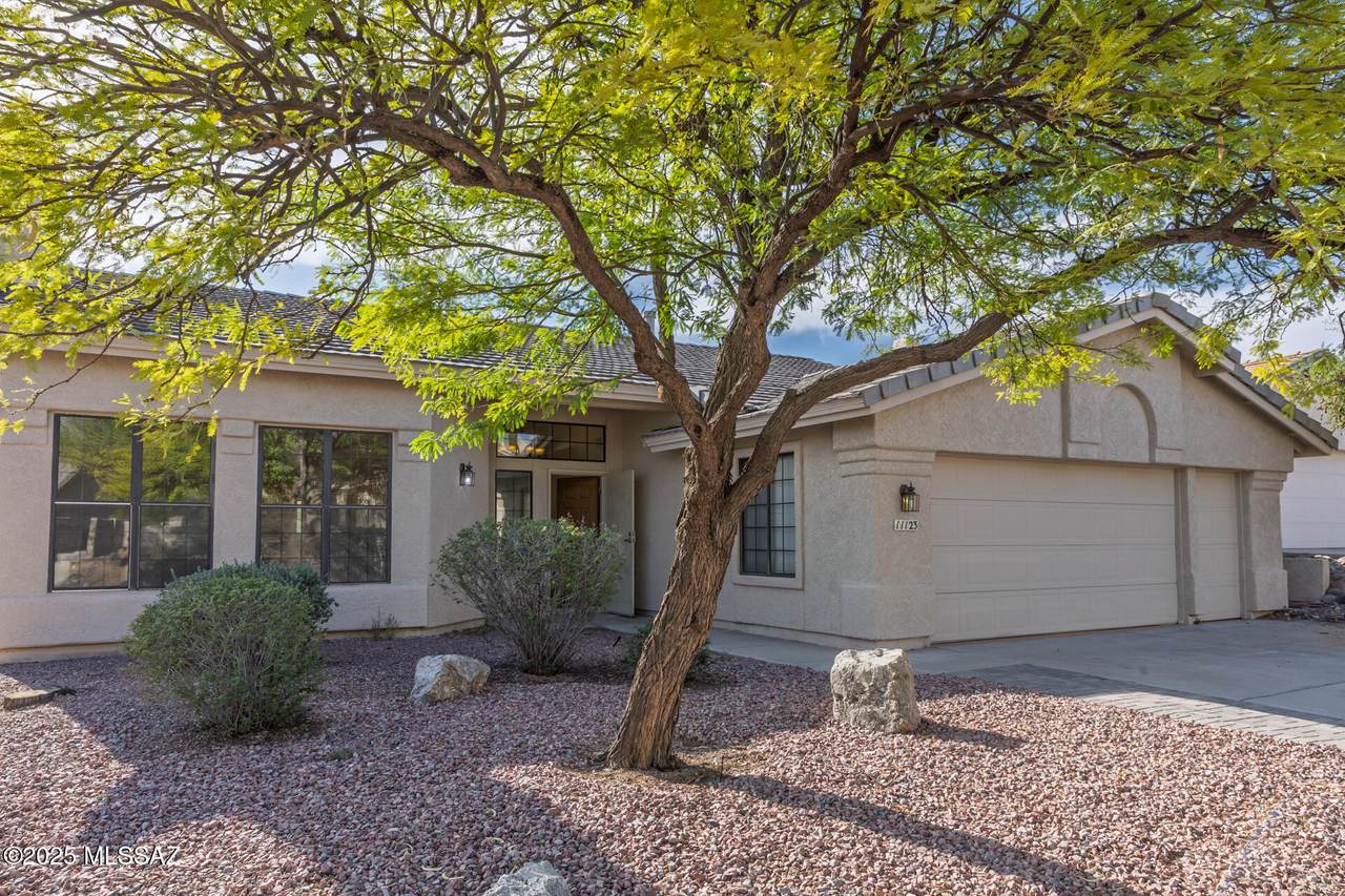 11123 Olympic Place - Photo 1