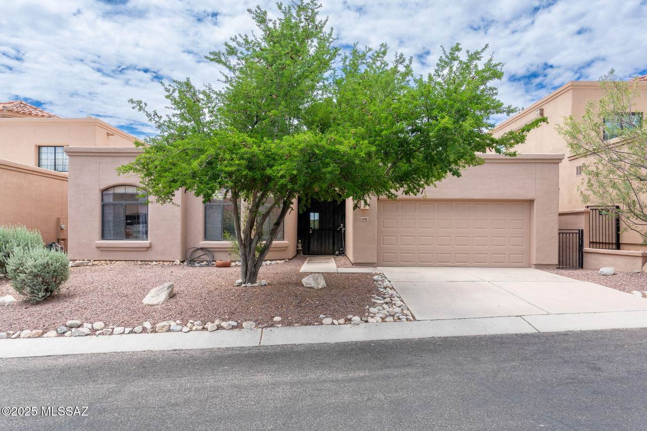 6261 Calle Del Venado - Photo 1