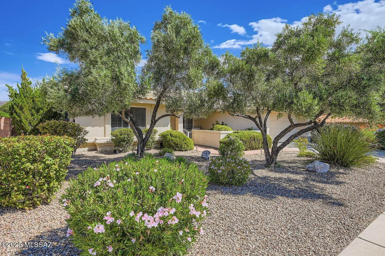 https://bt-photos.global.ssl.fastly.net/tucson/1280_boomver_4_22525011-2.jpg