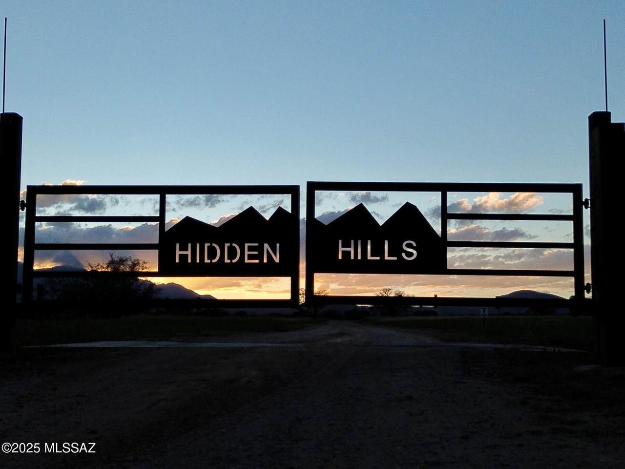 TBD Wild Antelope Place - Photo 1