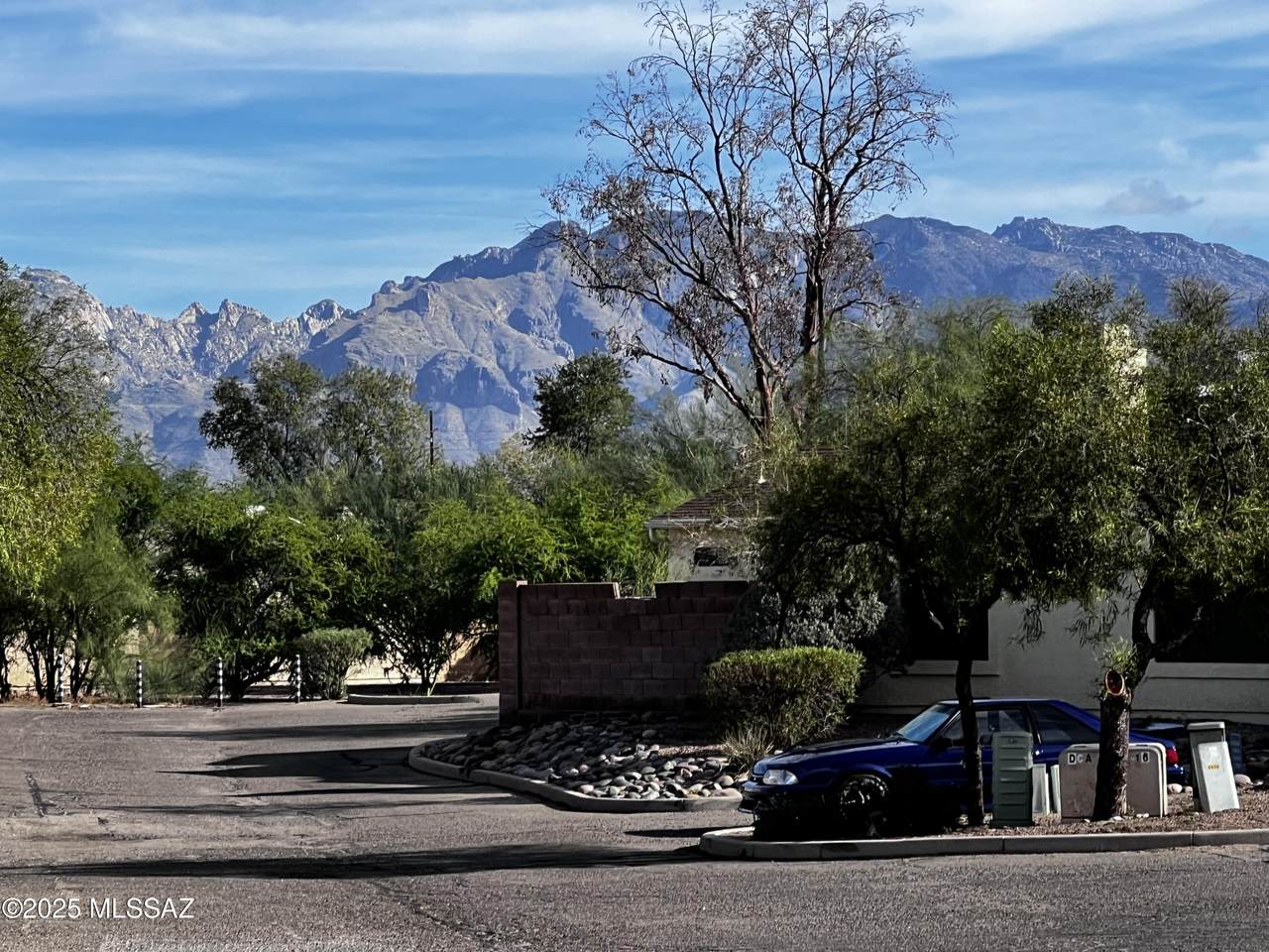 2451 Palo Hacha Drive - Photo 1