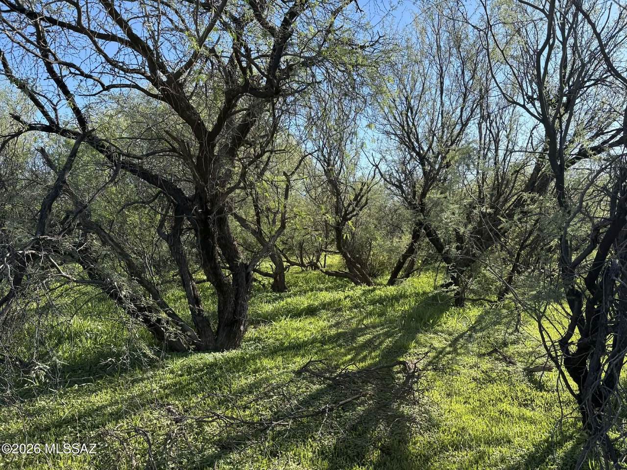  Apn# 209-19-0040 - Photo 1