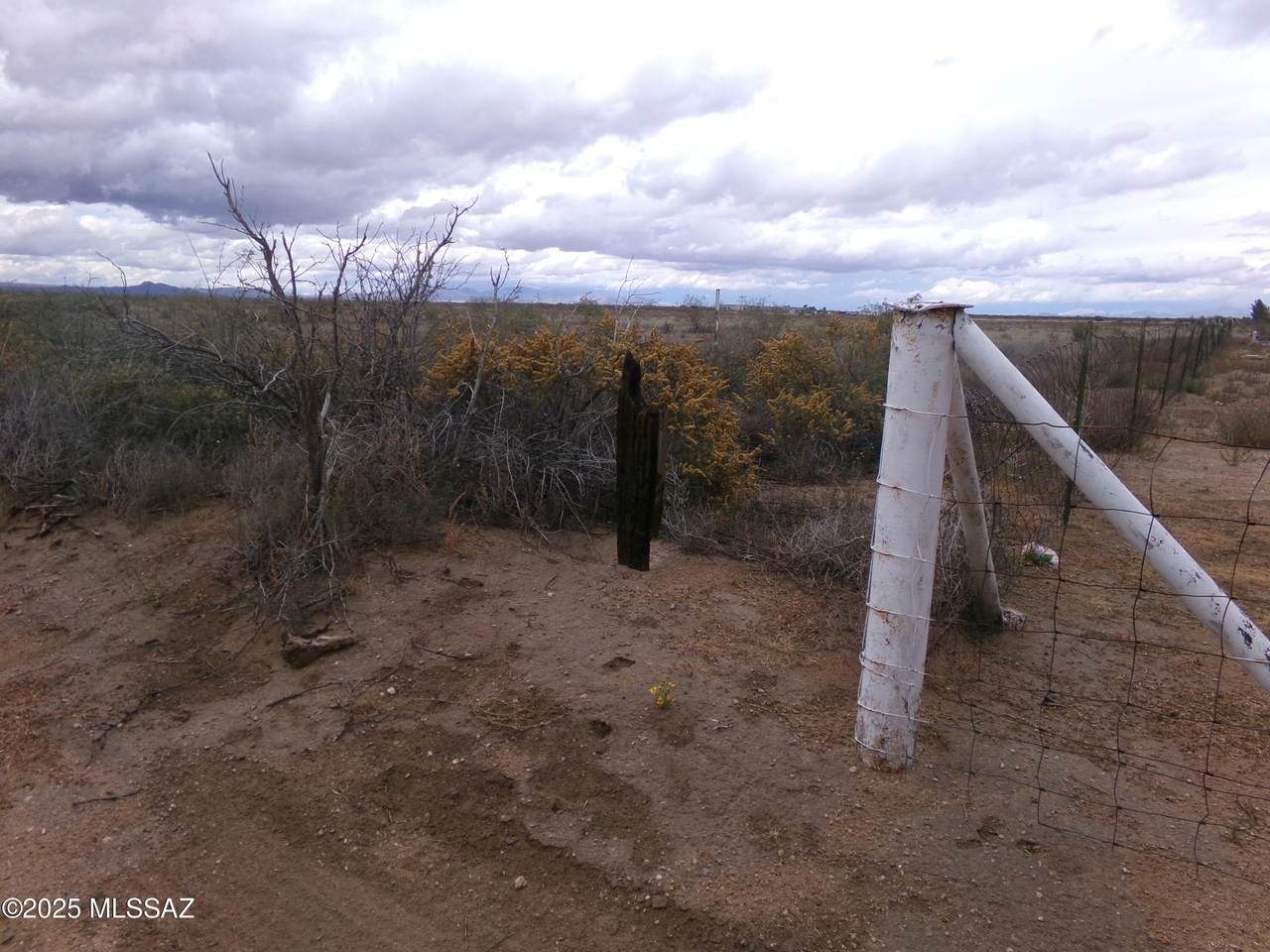 TBD Baker Road - Photo 1