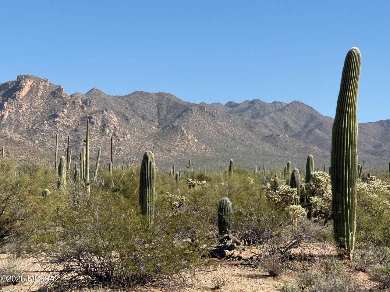  Tbd Parcel A Sandario Rd - Photo 1