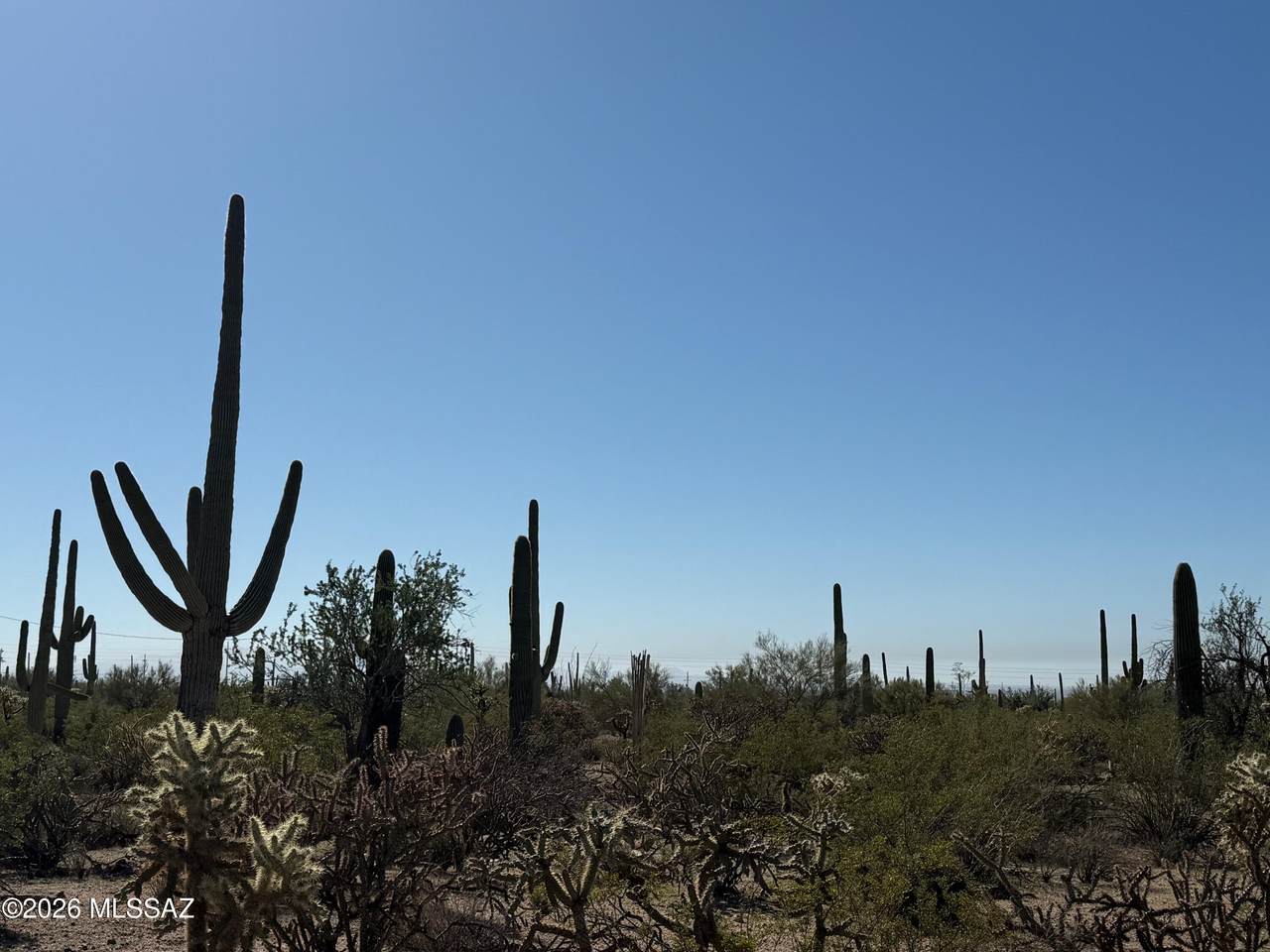 TBD Parcel E Sandario Rd - Photo 1