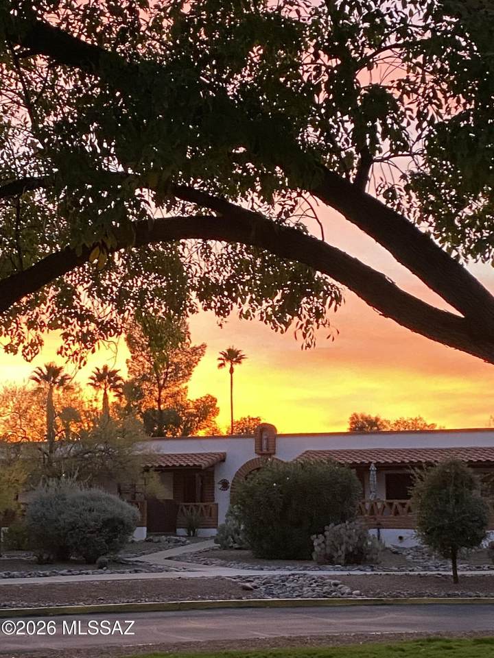 445 Paseo Quinta - Photo 1