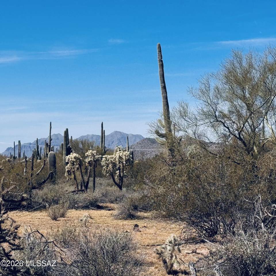 0 Cattle Tank Road - Photo 1