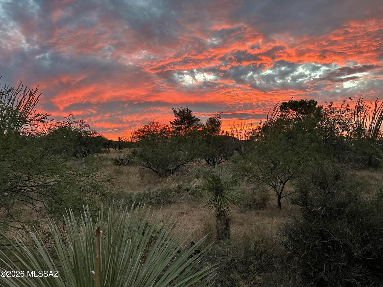 https://bt-photos.global.ssl.fastly.net/tucson/1280_boomver_2_22605738-2.jpg