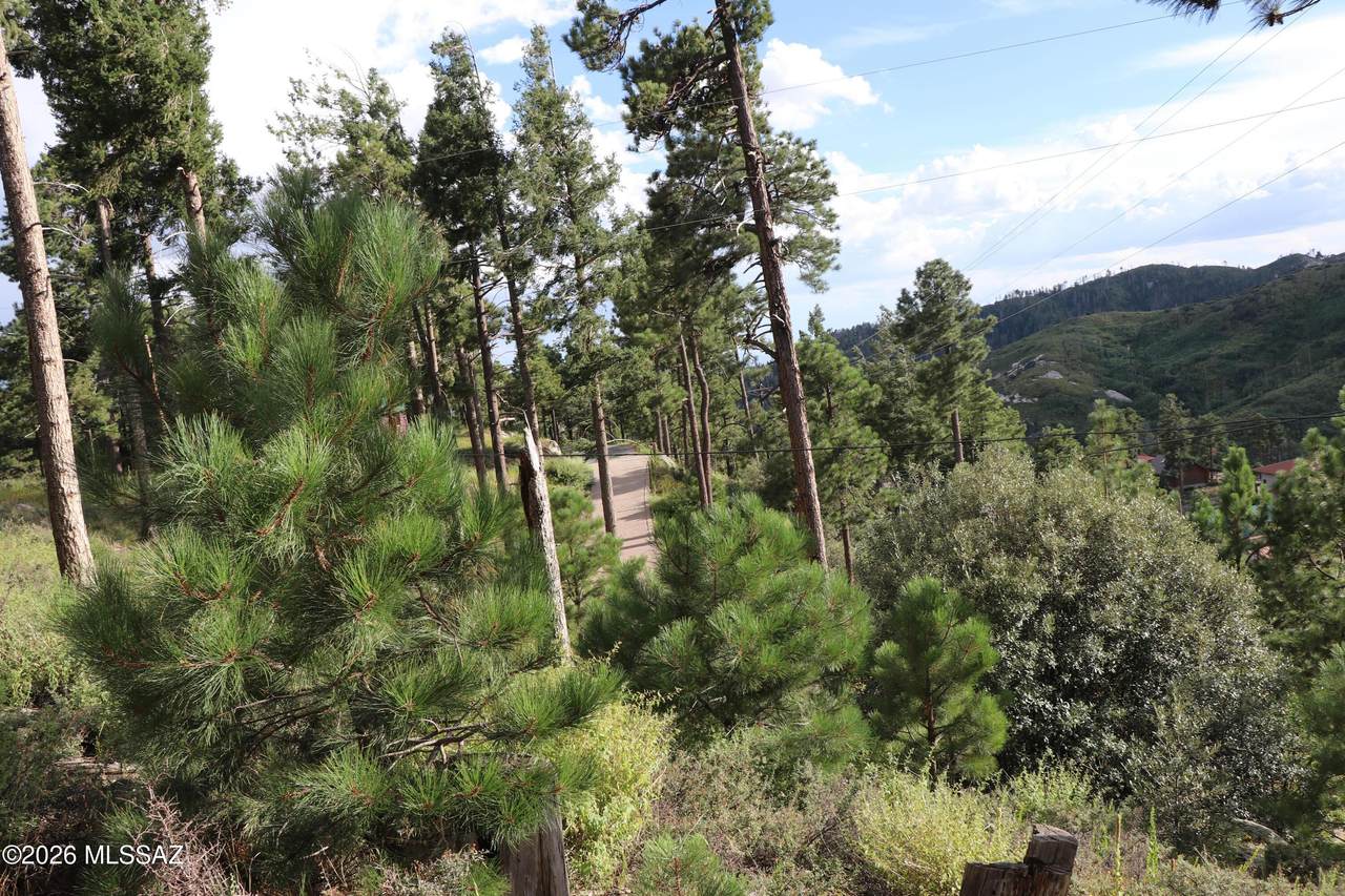 12718 Upper Loma Linda Road - Photo 1