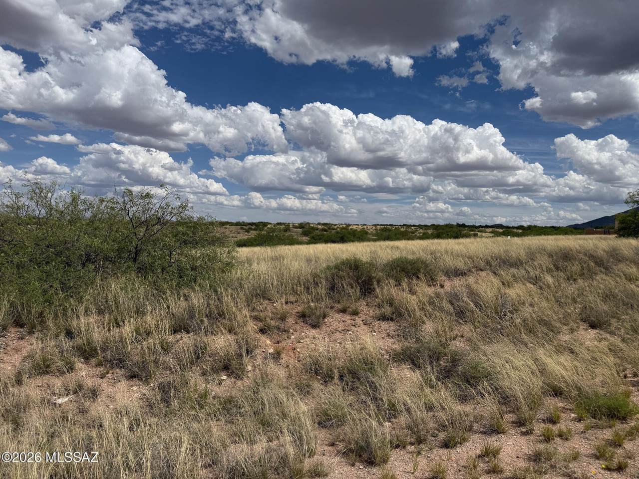 1369 Cattlemans Loop - Photo 1