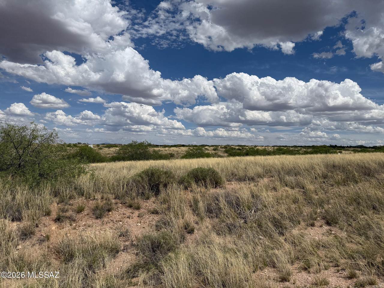 https://bt-photos.global.ssl.fastly.net/tucson/1280_boomver_2_22609284-2.jpg