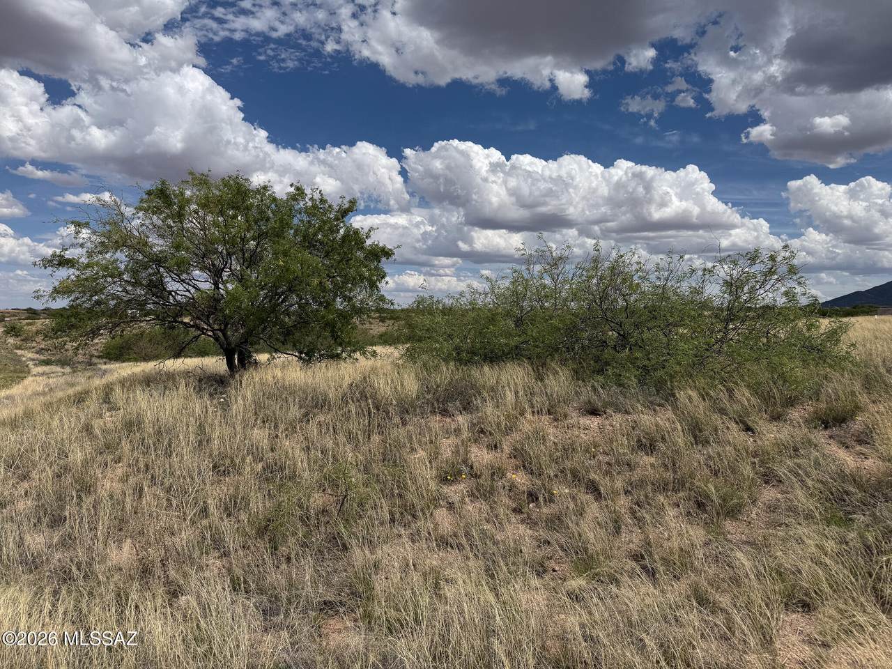 https://bt-photos.global.ssl.fastly.net/tucson/1280_boomver_2_22609284-2.jpg