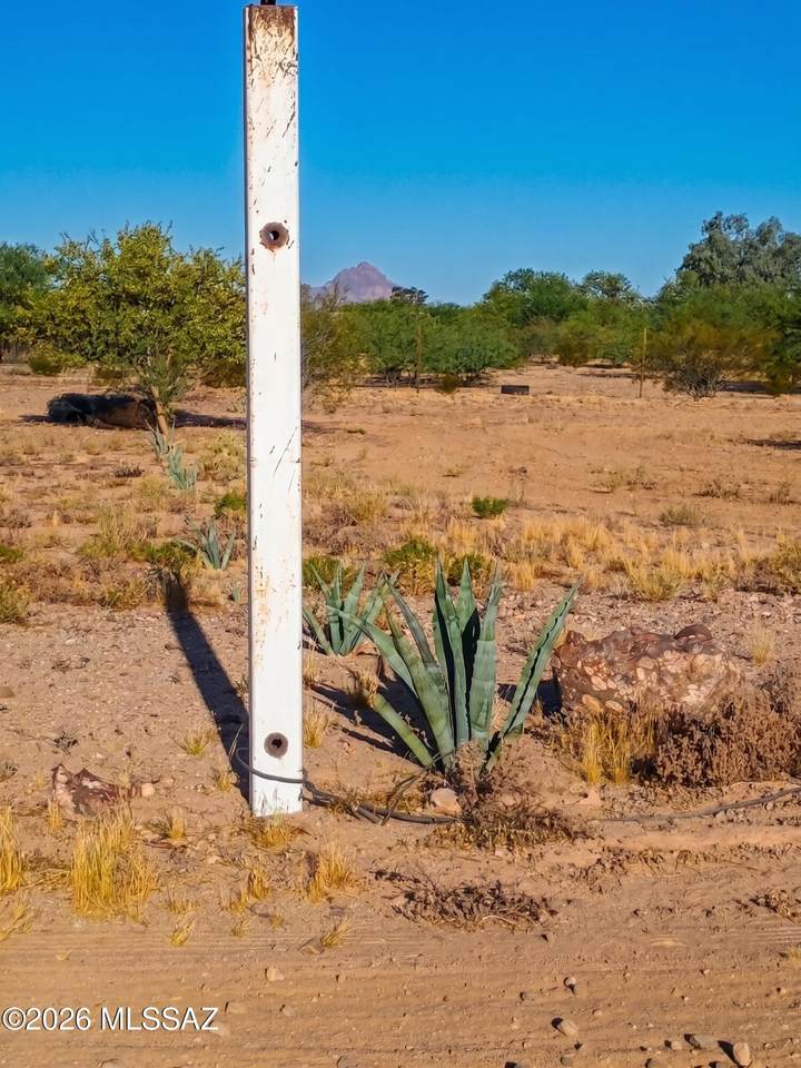https://bt-photos.global.ssl.fastly.net/tucson/1280_boomver_2_22609558-2.jpg