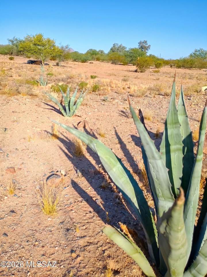 https://bt-photos.global.ssl.fastly.net/tucson/1280_boomver_2_22609558-2.jpg