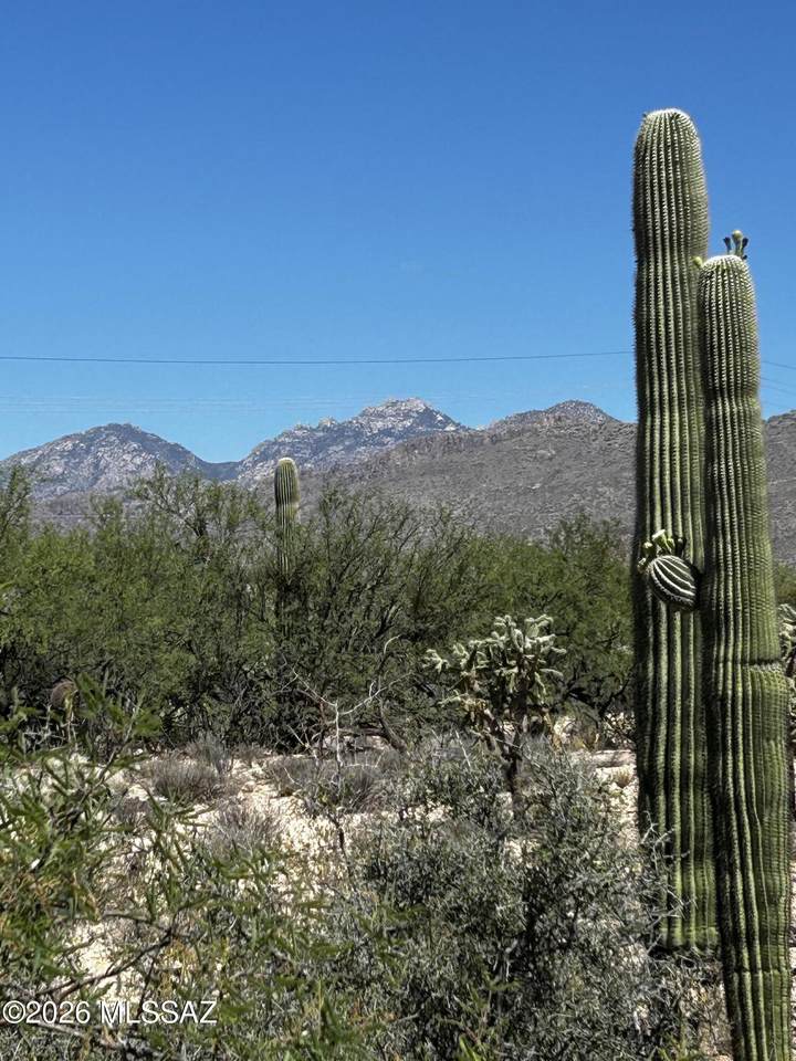 https://bt-photos.global.ssl.fastly.net/tucson/1280_boomver_2_22611546-2.jpg