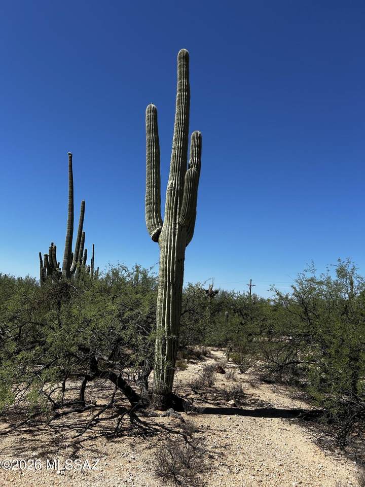 https://bt-photos.global.ssl.fastly.net/tucson/1280_boomver_2_22611546-2.jpg