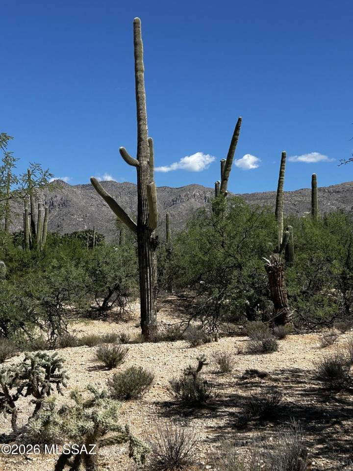 https://bt-photos.global.ssl.fastly.net/tucson/1280_boomver_2_22611546-2.jpg