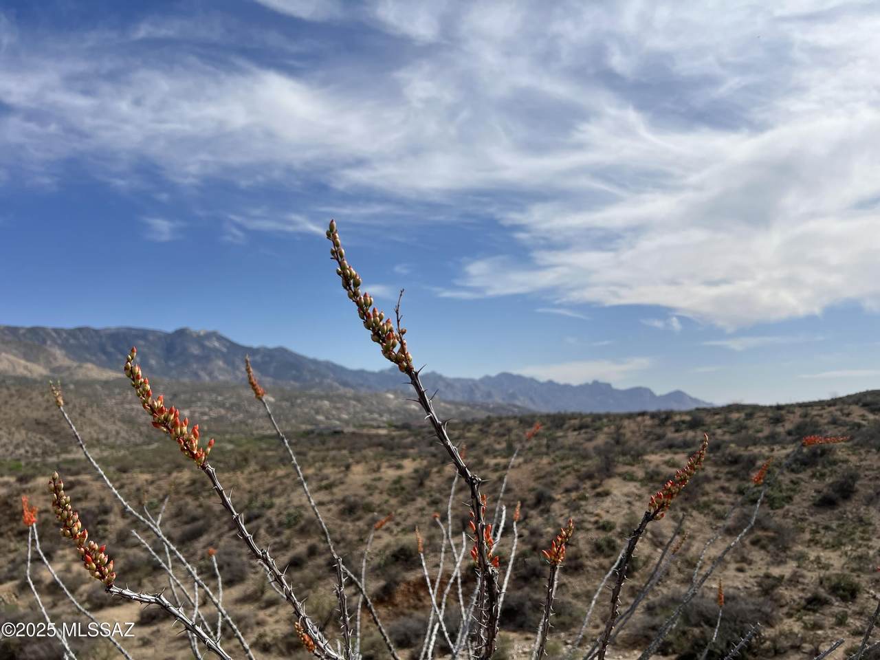 https://bt-photos.global.ssl.fastly.net/tucson/1280_boomver_2_22611648-2.jpg