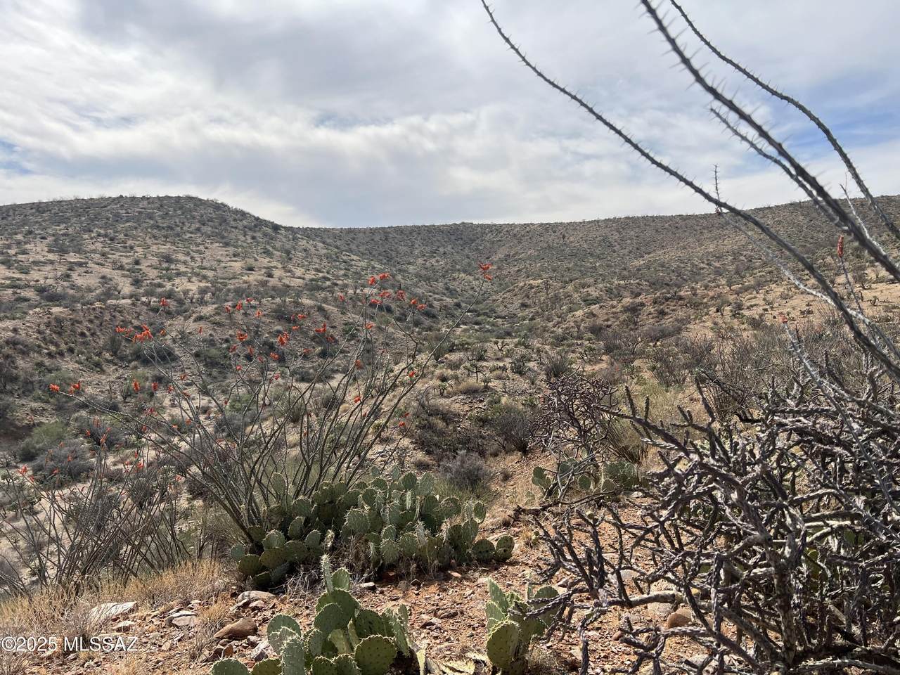https://bt-photos.global.ssl.fastly.net/tucson/1280_boomver_2_22611648-2.jpg