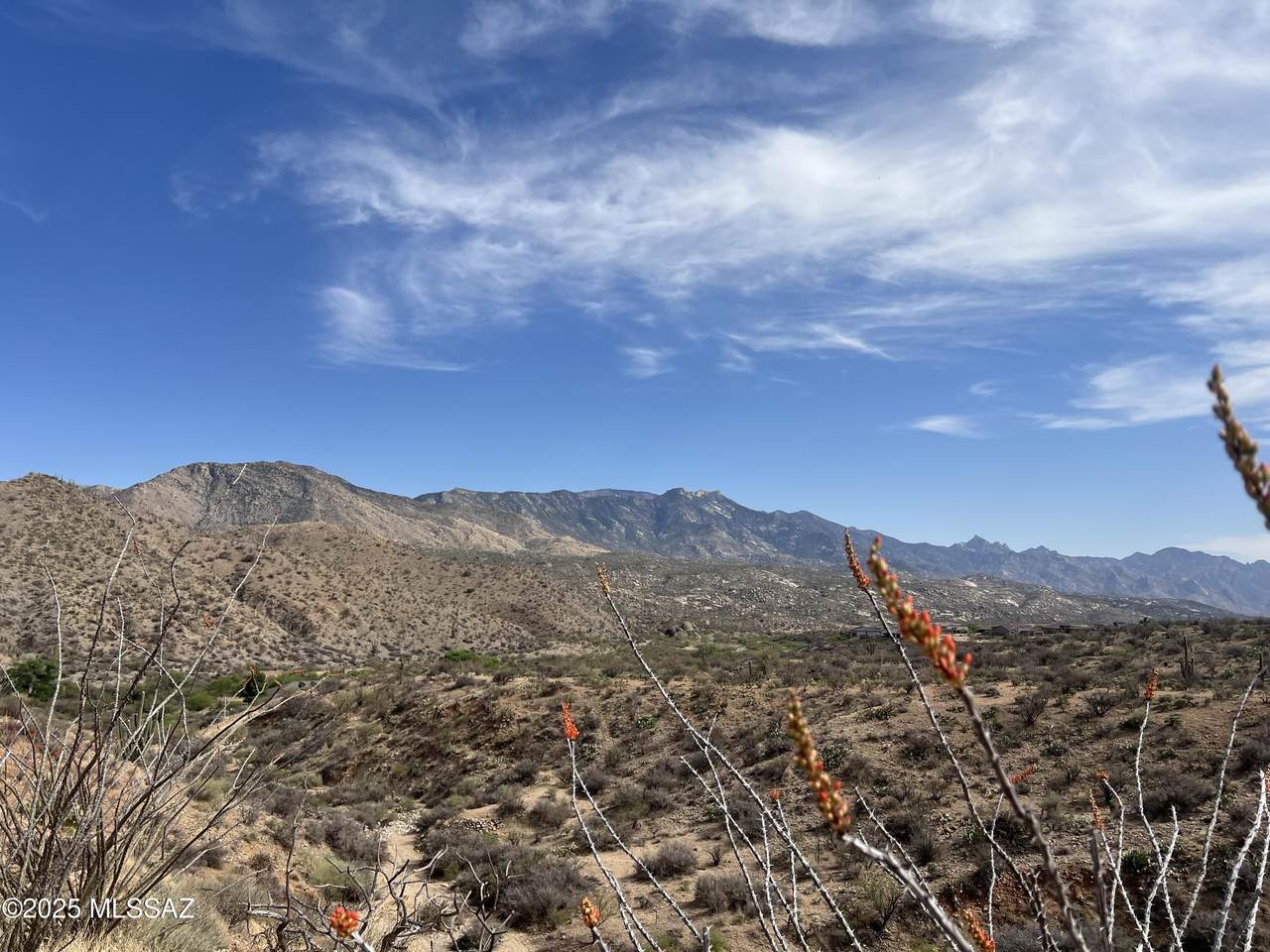 https://bt-photos.global.ssl.fastly.net/tucson/1280_boomver_2_22611648-2.jpg