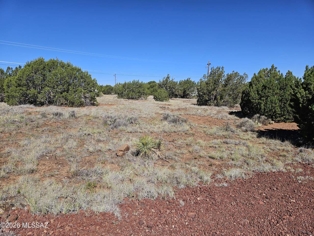 https://bt-photos.global.ssl.fastly.net/tucson/1280_boomver_2_22618659-2.jpg