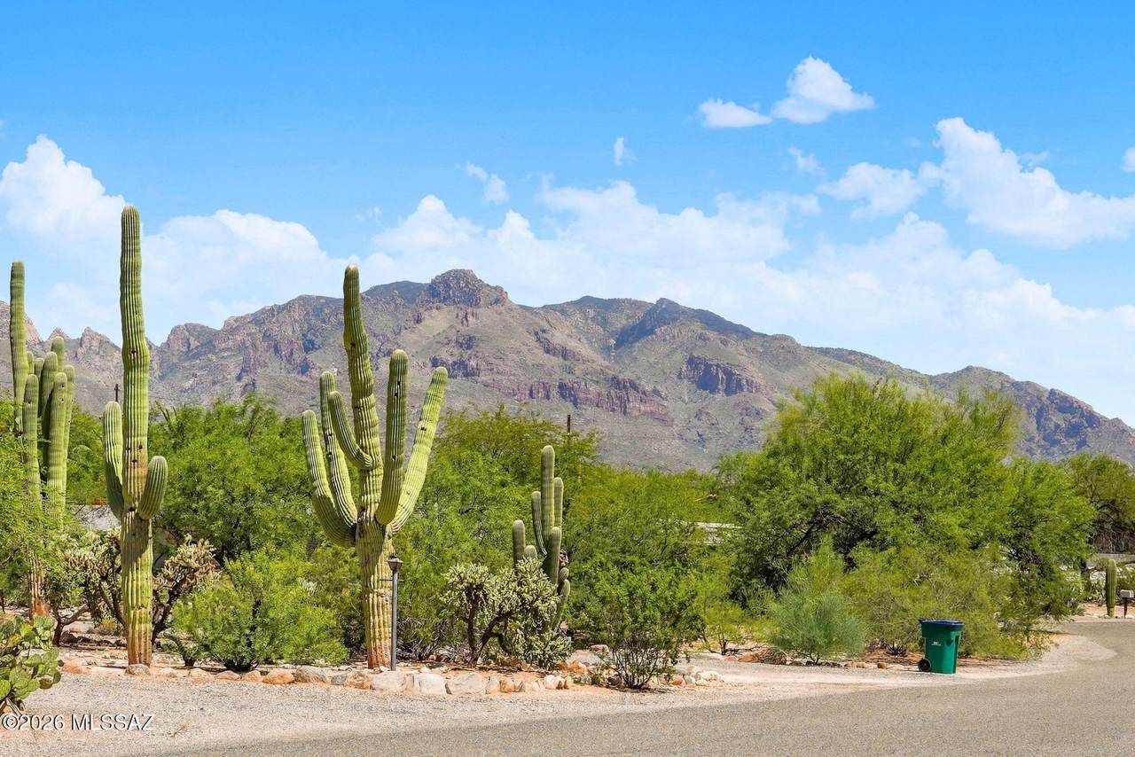 https://bt-photos.global.ssl.fastly.net/tucson/1280_boomver_2_22621939-2.jpg