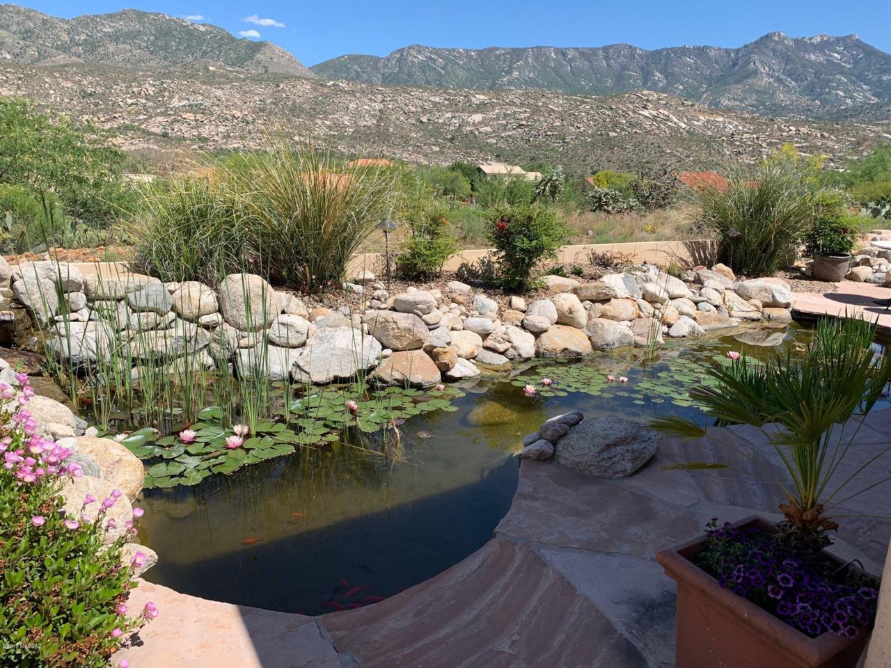 37741 Desert Sun Drive - Photo 1