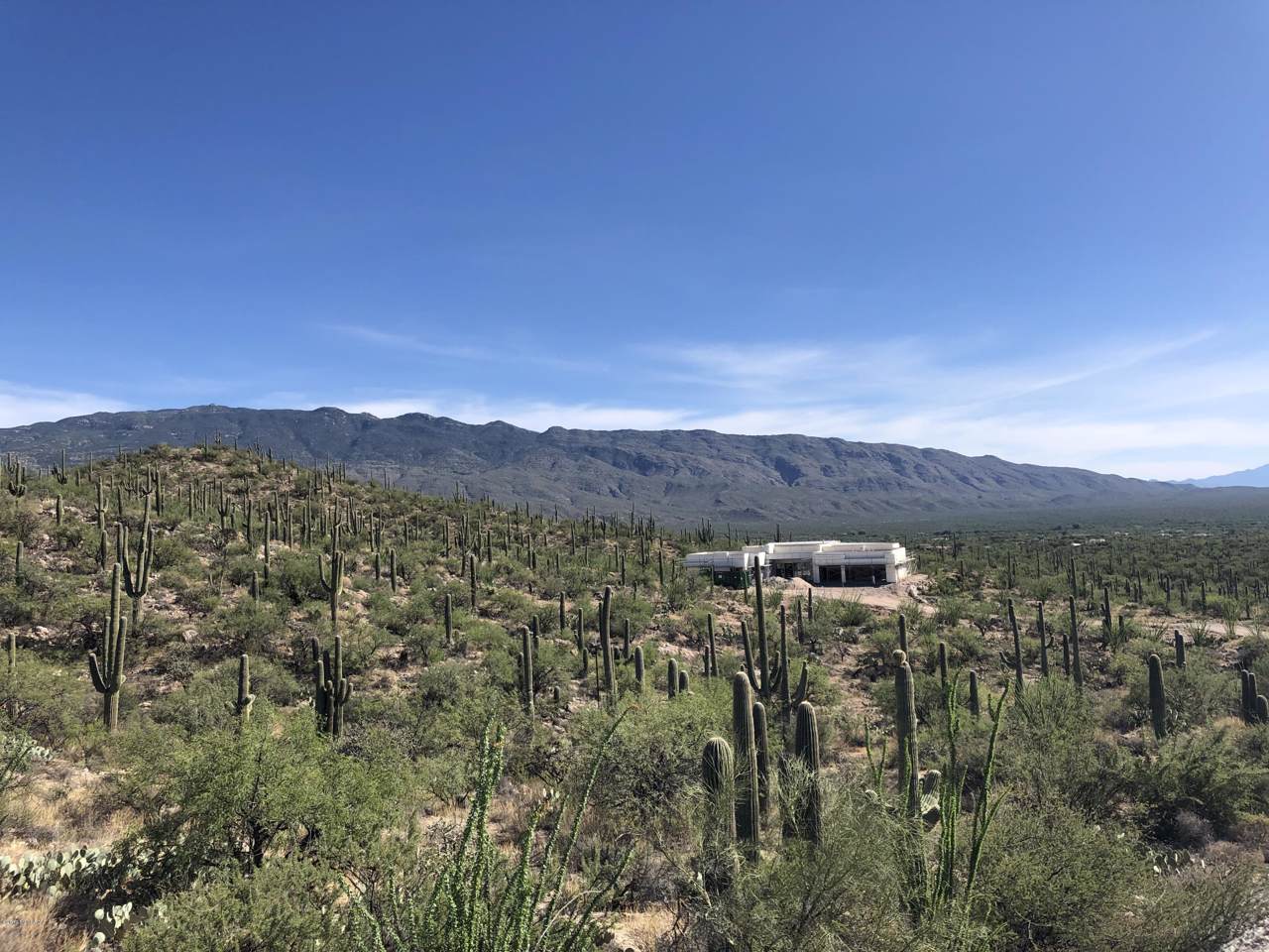 3050 Placita De Nazca - Photo 1