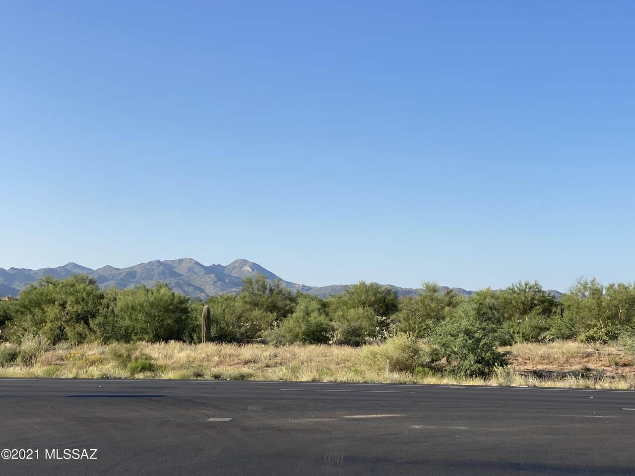 1560 &1580 Tangerine Road - Photo 1