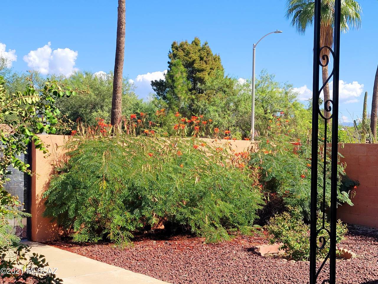 2308 Beverly Drive - Photo 1