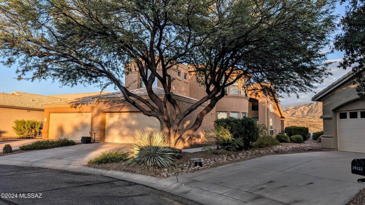 39127 Tranquil Drive - Photo 1