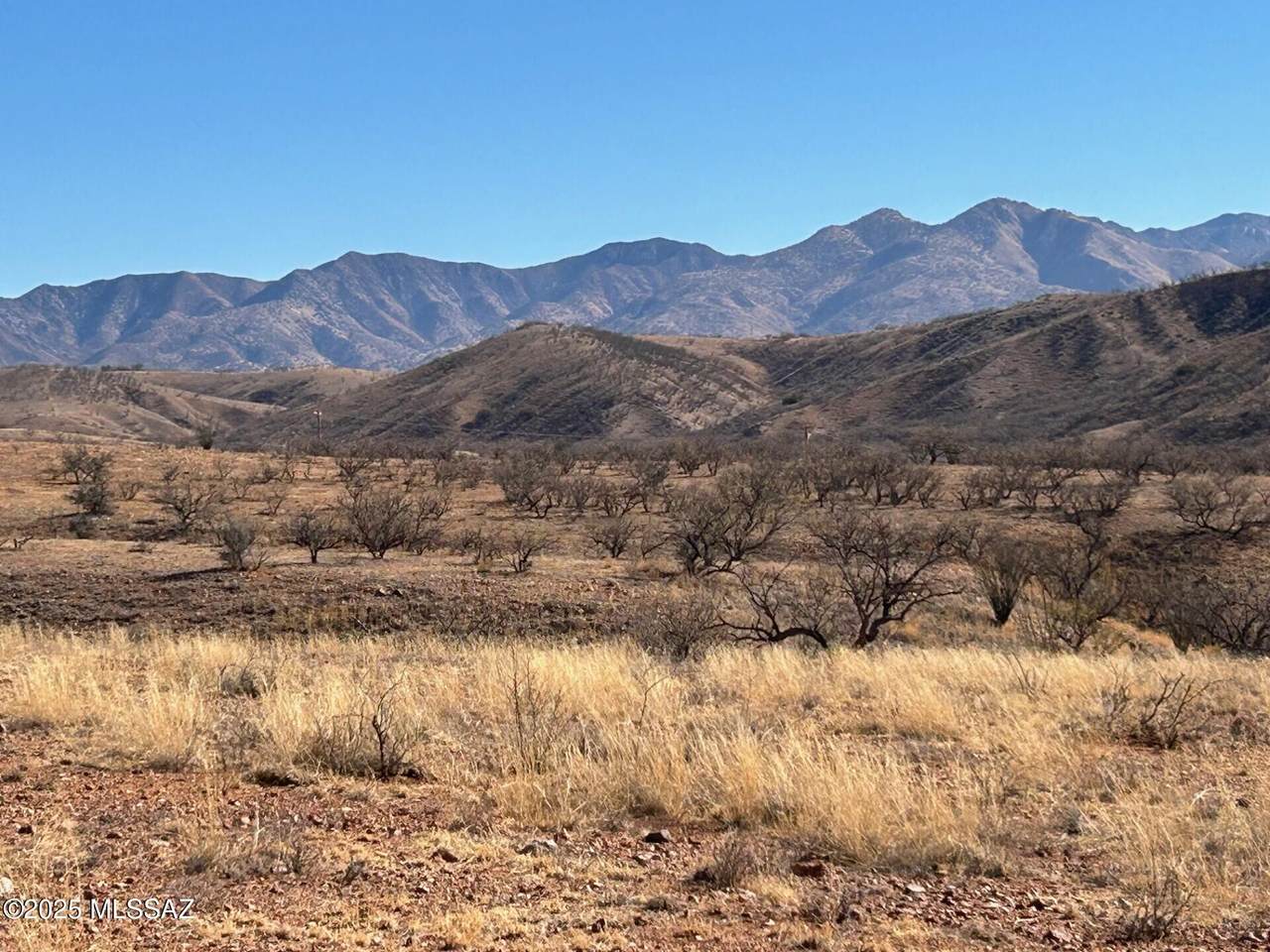 211 Circulo Montana - Photo 1