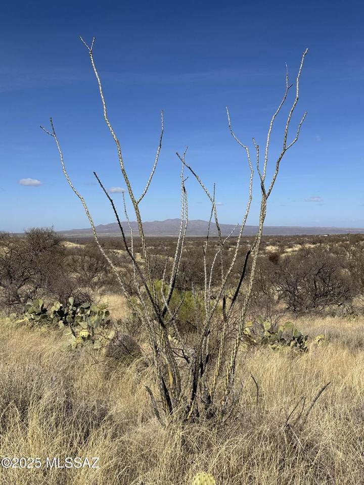  6.6 Acres Off W Linda Vista Road - Photo 1