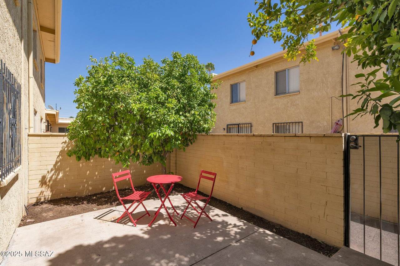 810 Kolb Road - Photo 1