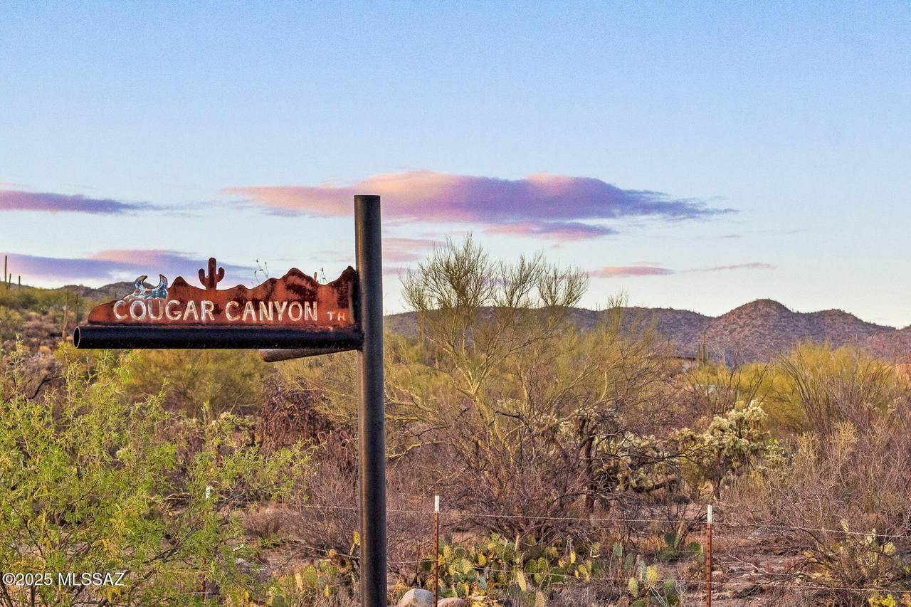 2676 Cougar Canyon Trail - Photo 1