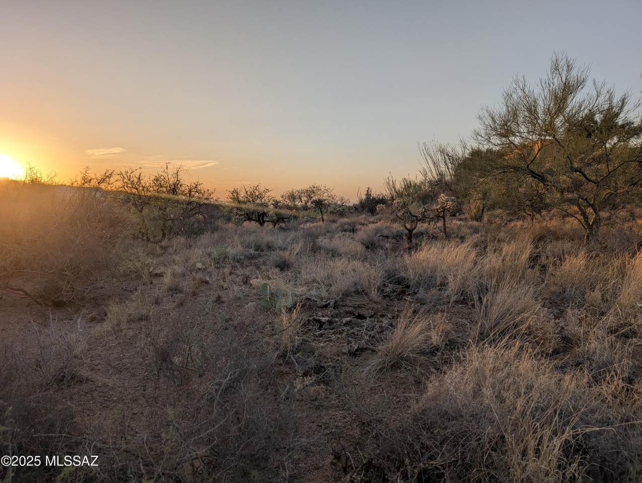 https://bt-photos.global.ssl.fastly.net/tucson/1280_boomver_2_22515988-2.jpg