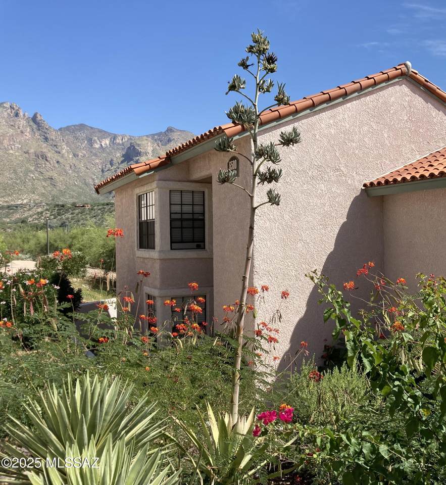 6500 Tierra De Las Catalinas - Photo 1