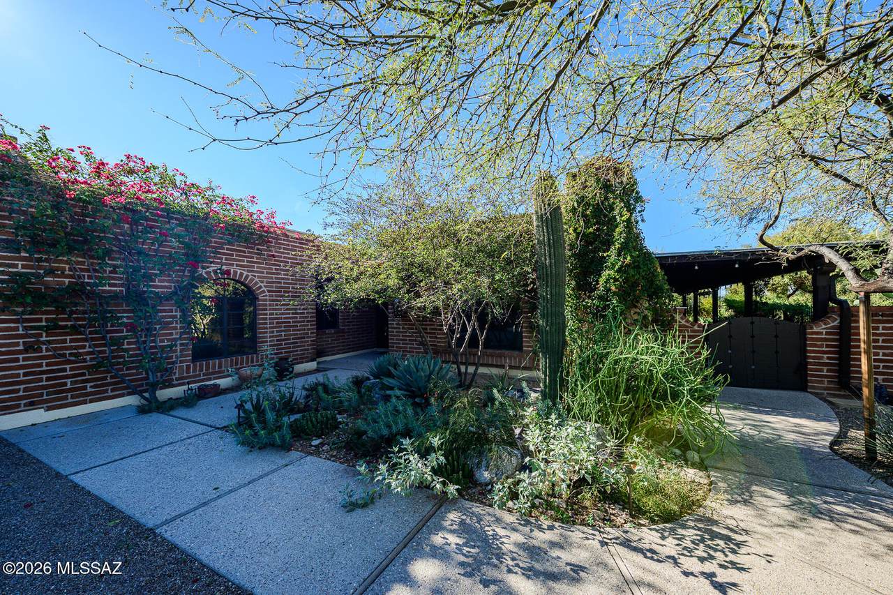 2546 Avenida De Maria - Photo 1