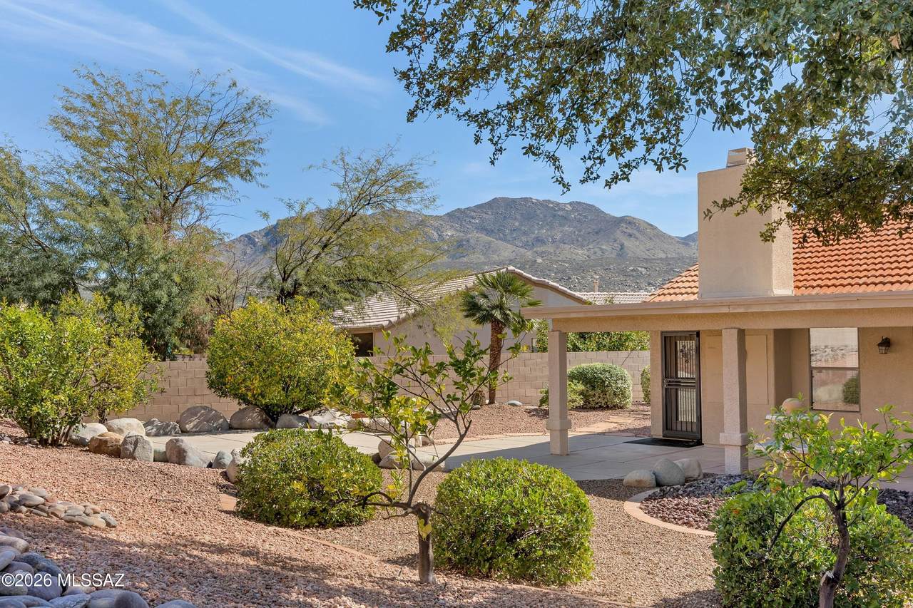 37866 Cleek Drive - Photo 1