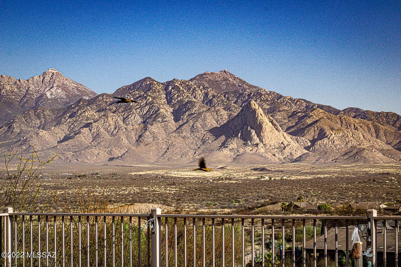 2157 Cactus Run Drive - Photo 1