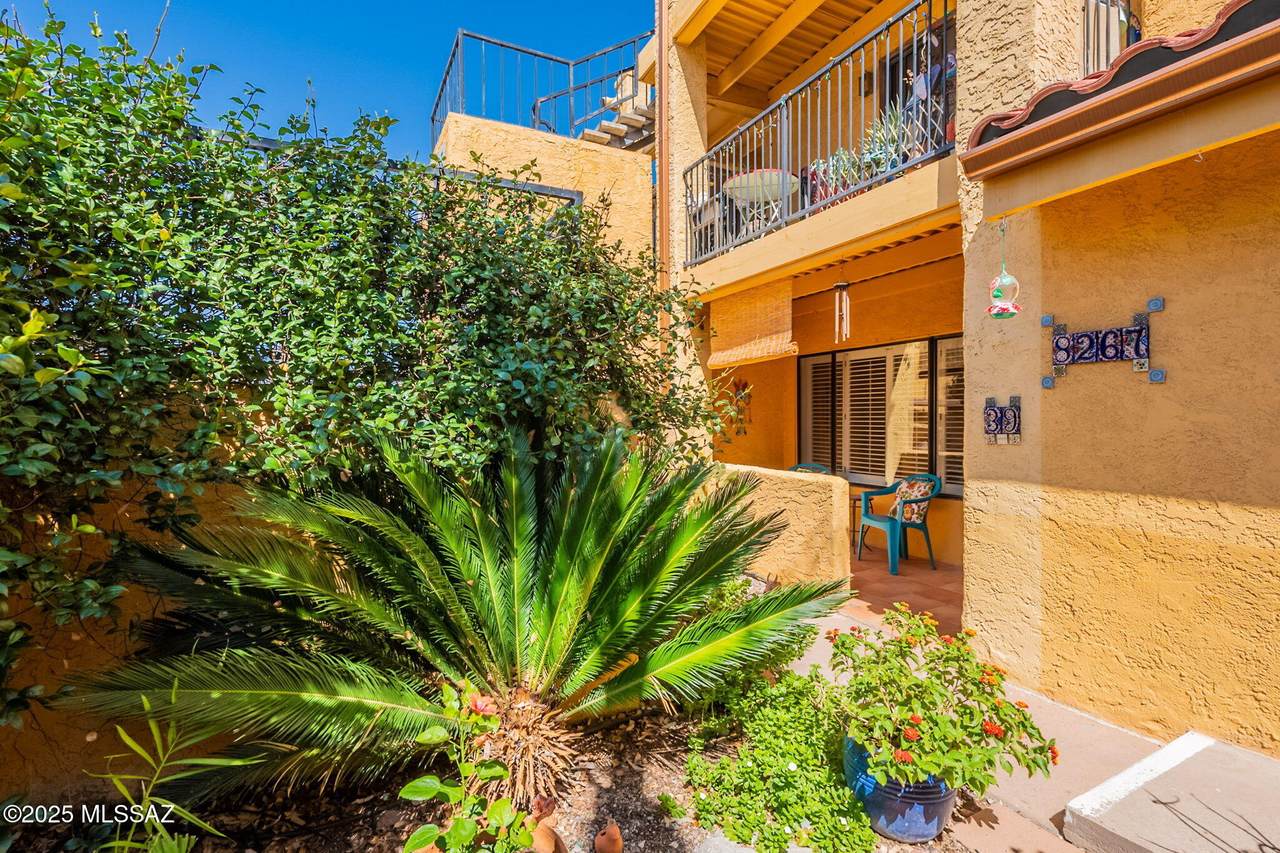 8267 Oracle Road - Photo 1