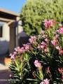 2442 Tom Watson Drive - Photo 34