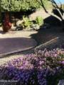 2442 Tom Watson Drive - Photo 35
