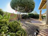 2442 Tom Watson Drive - Photo 41