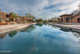 243 Shimmering Desert Place - Photo 15
