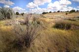  Lot 11 Tanglehead Lane - Photo 11