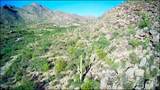 14562 Dove Canyon Pass - Photo 8
