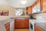5051 Sabino Canyon Road - Photo 13