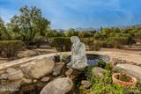 11109 Tanque Verde Road - Photo 41