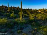 14998 Slippery Ridge Loop - Photo 11